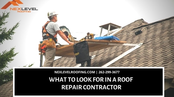 Roof Repair Contractor