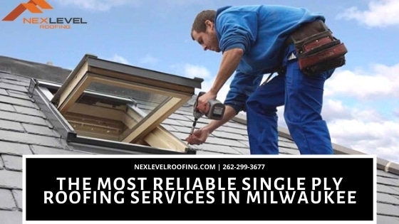 Single Ply Roofing services