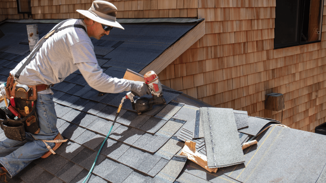 professional roof care 